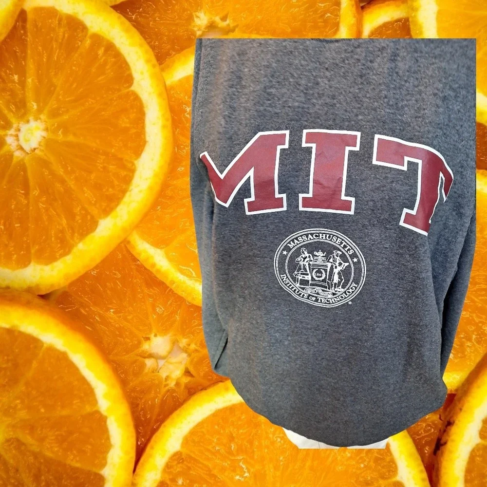 Champion MIT Massachusetts Institute of Technology Sweatshirt Large‎